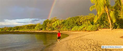 Club 49 Hub – The center of Club 49, just for you