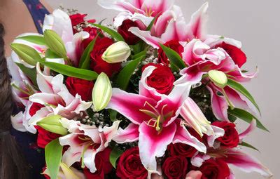 Seasonal Flowers in India – CityFlowers