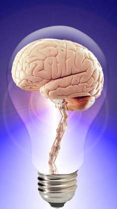 Personality Test: The Animal You See First Reveals Your True Personality