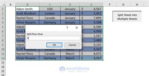Excel Split Data into Multiple Sheets 的图像结果
