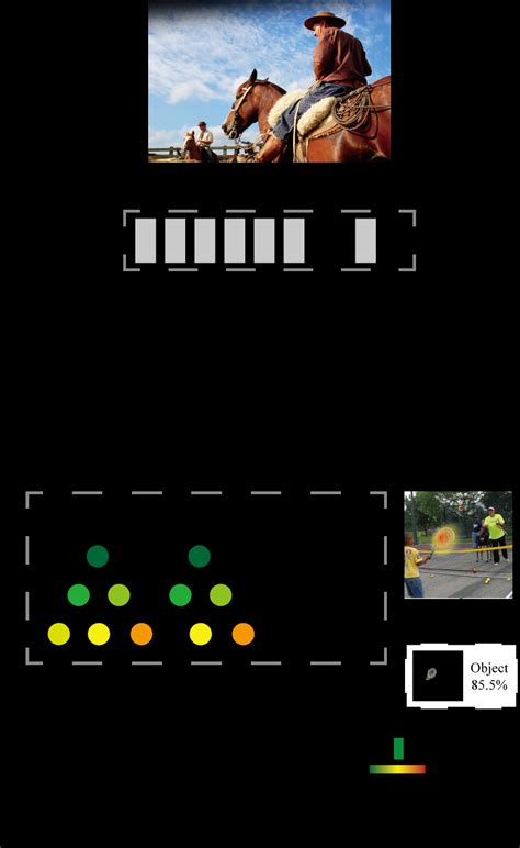 Image result for Contrastive Learning Network