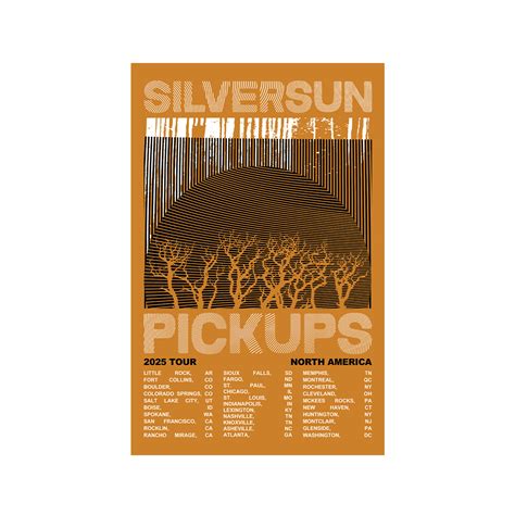 ACCESSORIES - Silversun Pickups MT