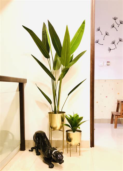Buy Fourwalls Artificial Birds of Paradise Plant with Plastic Pot for ...