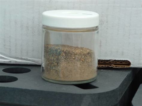 Container Layout 的图像结果