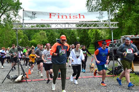 Animal Protective Foundation | Pet Adoption & Animal Shelter