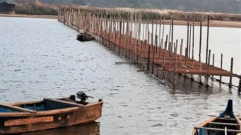 Thirunavaya Kumbh Mela: High Court orders to ensure security of ...