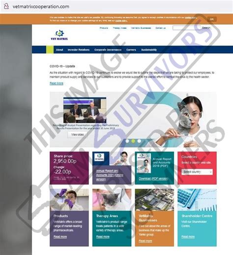 Image result for Fake Scam Website