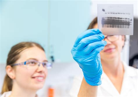 Academic calendar • UNG