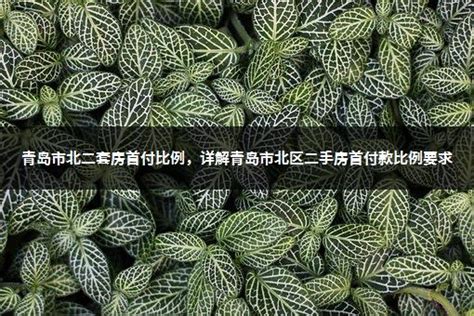 二套房首付比例下调了吗-楼盘网