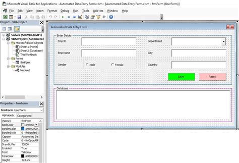 Data Entry Form Tutorial 的图像结果