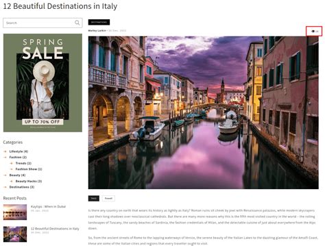 Image result for Blog Views