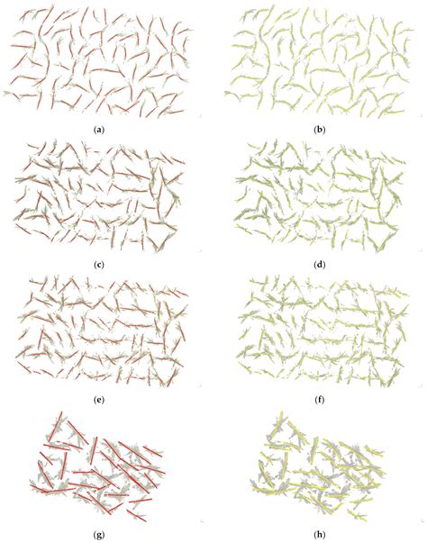 Segmentation and Stratification Methods of Field Maize Terrestrial ...