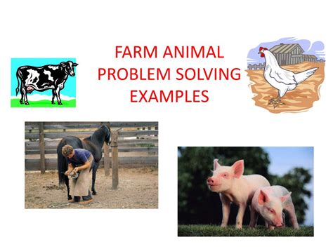 Image result for Animal Problem Solving