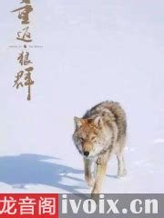 重返狼群（一个女孩与一匹狼，感动上百万读者的纪实小说完整升级版） – ChineseBookCity.com – Canada