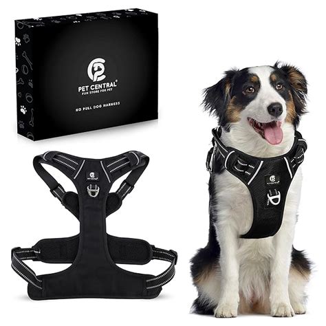 Pet Central Dog Harness for Small Dogs – Reflective Strip Harness for ...