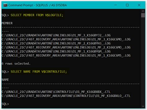 Image result for Drop Database