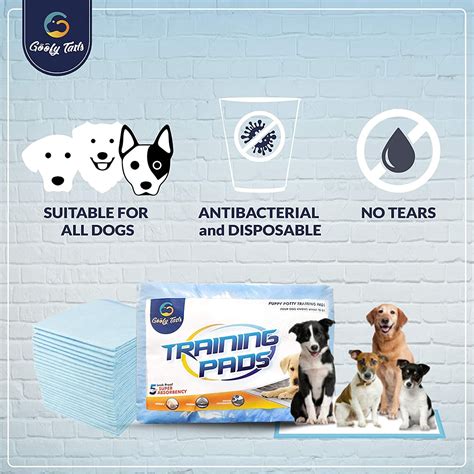 Goofy Tails High Absorption Training Puppy Pee Pads for dogs – GoofyTails