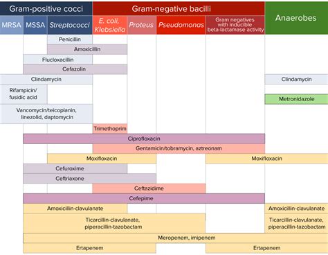 Sulfonamidas y Trimetoprim | Concise Medical Knowledge