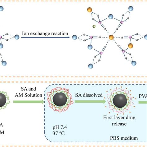 Image result for Hap Interface