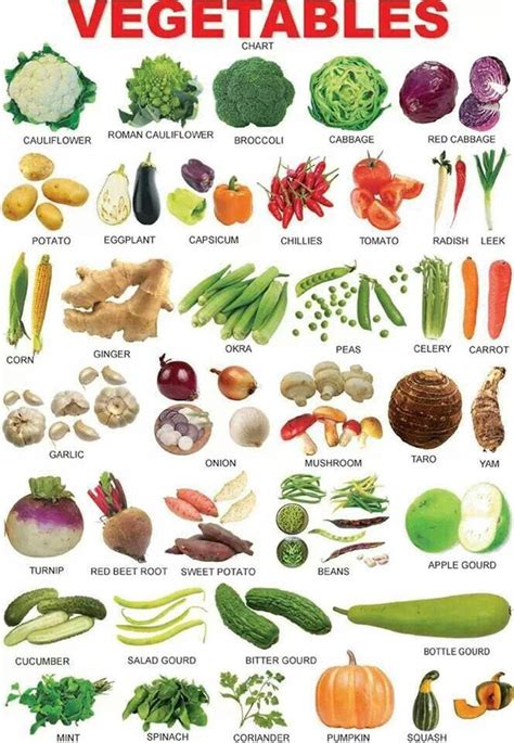 Vegetables Vocabulary in English | Vegetable chart, List of vegetables ...