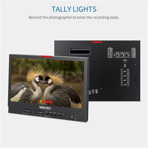 Buy SEETEC ATEM156S-CO 15.6 inch Portable Carry On Multi Camera ...