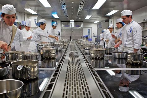 Cook Courses 的图像结果