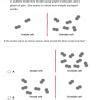 a student made this model using paper molecules and piece of yarn she ...