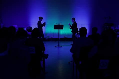 Acoustic Fields – Tania Rubio