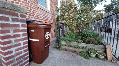 Curbside Composting: An Environmental and Sanitation Revolution in ...