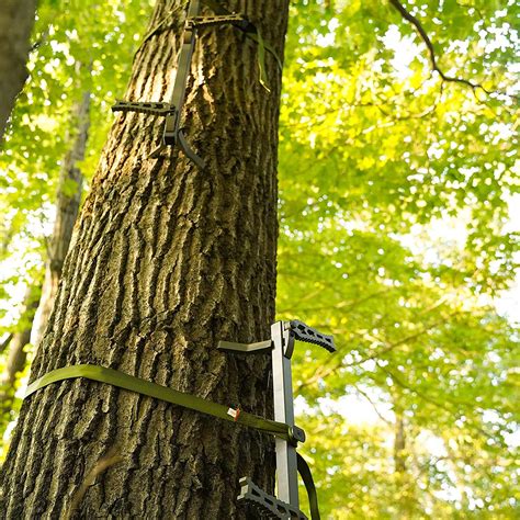 Review Climbing Sticks for Hunting 的图像结果