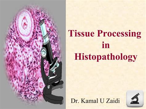 Tissue Processing in Histopathology 的图像结果