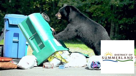 Garbage Collection System 的图像结果