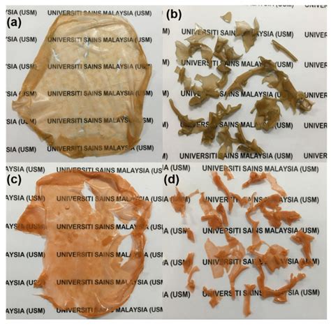 Integration of Carboxymethyl Cellulose Isolated from Oil Palm Empty ...