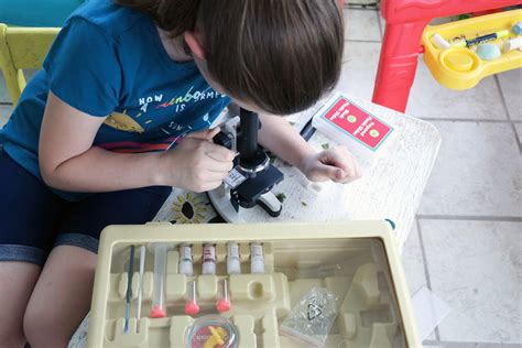 Image result for Microscope Experiments for Kids