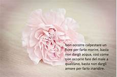 frasi e fiori ᐅ le pi 249 immagini di fiori per whatsapp frasi e fiori ᐅ le pi 249 immagini di fiori per whatsapp