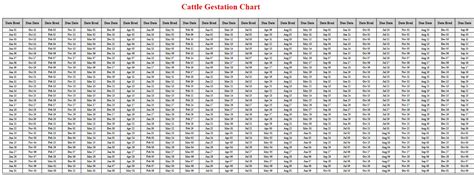 Cattle Gestation Calculator & Chart {Printable} - Livestocking