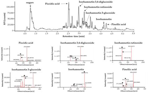 Inhibitory Effect of Opuntia humifusa Fruit Water Extract on Solar ...