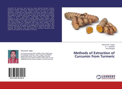 Methods of Extraction of Curcumin from Turmeric : Arun Bhagat: Amazon ...