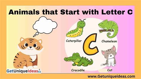 Animals that Start with C | Name An Animal Beginning With C ...