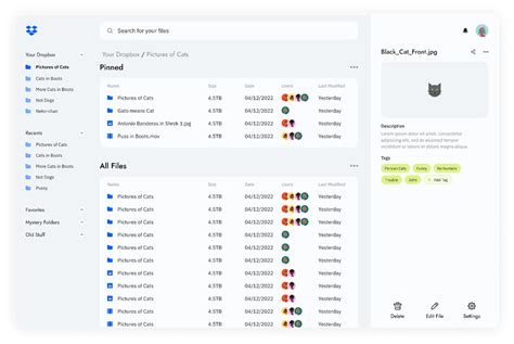 Image result for Dropbox User Interface