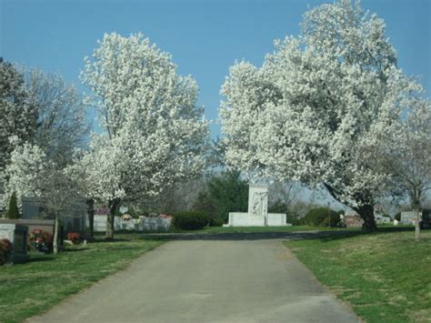 Crest Lawn Cemetery in Cookeville, Tennessee - Find a Grave Cemetery