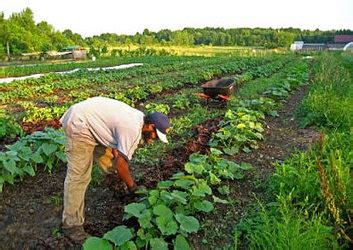 Societies 的图像结果