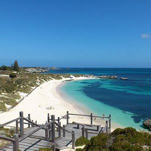 Marjorie Bay (Rottnest Island) - 2022 What to Know Before You Go (with ...