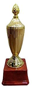 arham industries fiber trophy AE-122C(8 INCH) : Amazon.in: Sports ...