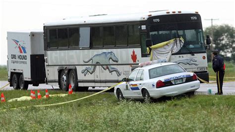 The murder of tim mclean video - golftraffic