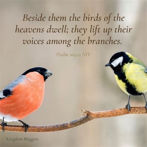 Bird Biblical Quotes Birds Of The Bible YouTube