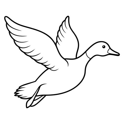 Premium Vector | Mallard Ducks flying vector line art Line art wild bird duck Outline vector ...
