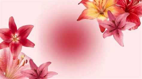 Pin by Abriyahw on Pinkkkk | Pink wallpaper laptop, Pink wallpaper ipad, Desktop wallpaper art