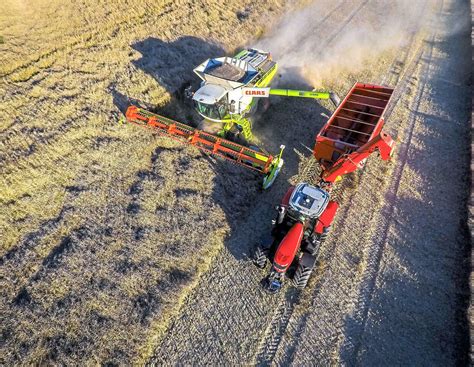 Raps: Die Marktleistungen in Ihrer Region | agrarheute.com