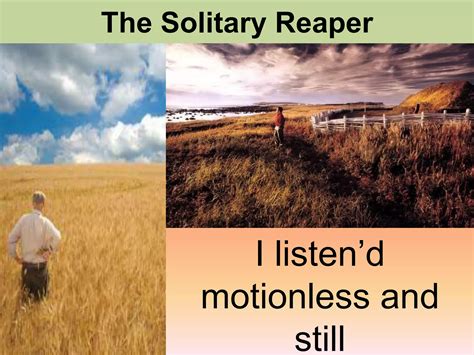 the solitary reaper | PPTX